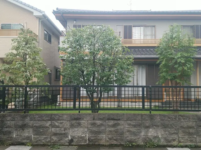 【業歴24年】木の特性を活かした剪定を行います！サービスの画像