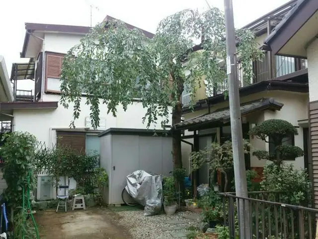 【業歴24年】木の特性を活かした剪定を行います！サービスの画像