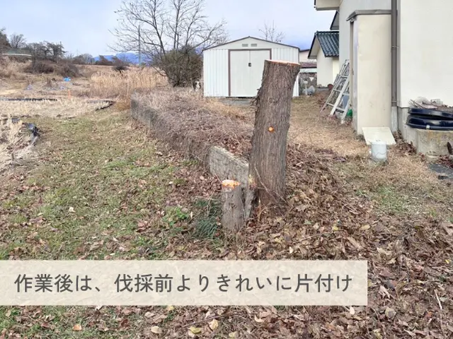 大きな木でもお任せください！丁寧な施行で好評いただいていますサービスの画像