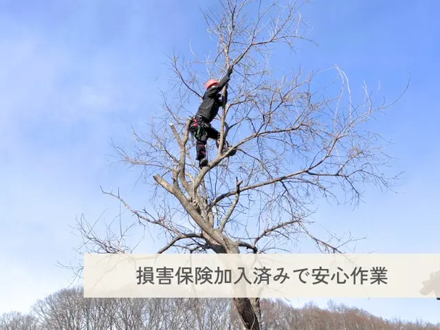 大きな木でもお任せください！丁寧な施行で好評いただいていますサービスの画像