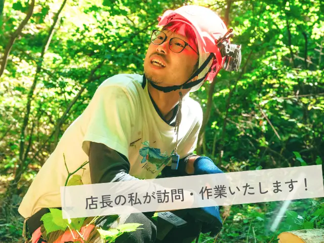 大きな木でもお任せください！丁寧な施行で好評いただいていますサービスの画像