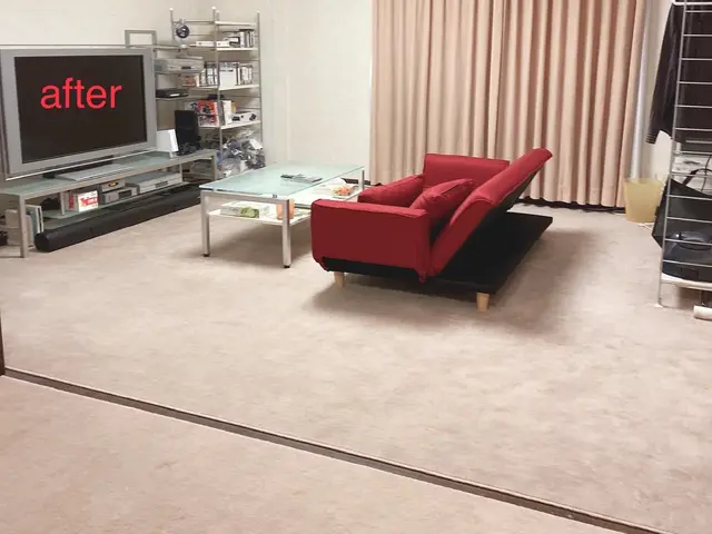 サポート実績【800件】以上★整理収納資格有！★大手経験あり！★損害保険加入済！サービスの画像