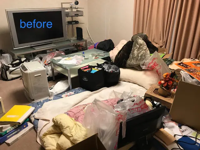 サポート実績【800件】以上★整理収納資格有！★大手経験あり！★損害保険加入済！サービスの画像