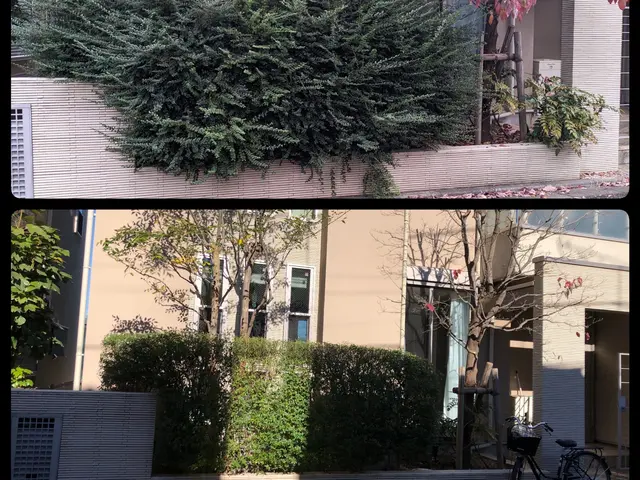 【即日対応・写真見積り可】お庭のことなら是非、庭　翔黒にお任せください！サービスの画像