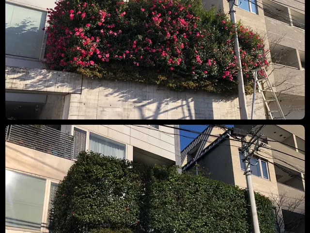 【即日対応・写真見積り可】お庭のことなら是非、庭　翔黒にお任せください！サービスの画像