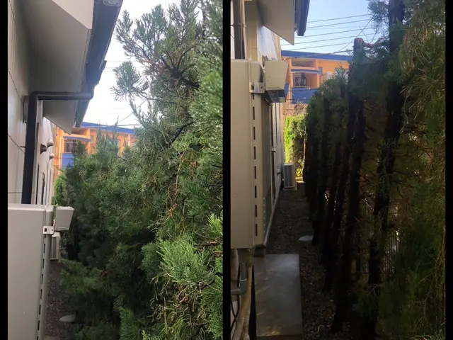 新年を綺麗なお庭で迎えませんか？お庭のことなら庭　翔黒にお任せください。サービスの画像