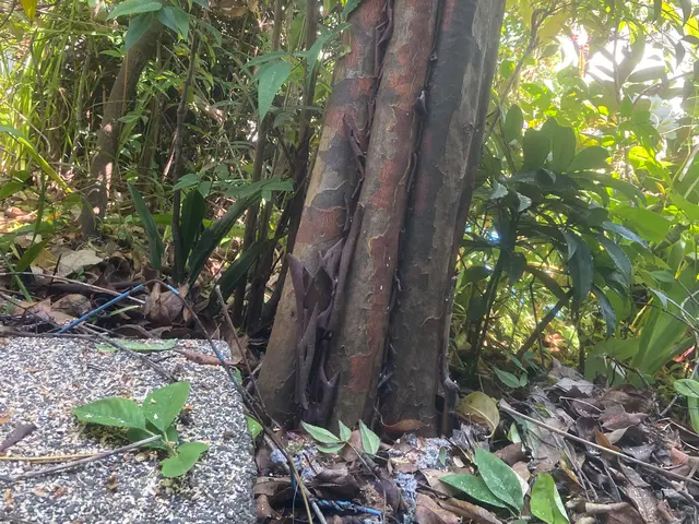 【奈良県北葛城郡発】100%自社対応◎損害保険加入済み◎駐車代はお店負担です！サービスの画像