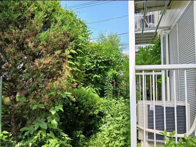 新年を綺麗なお庭で迎えませんか？お庭のことなら庭　翔黒にお任せください。サービスの画像