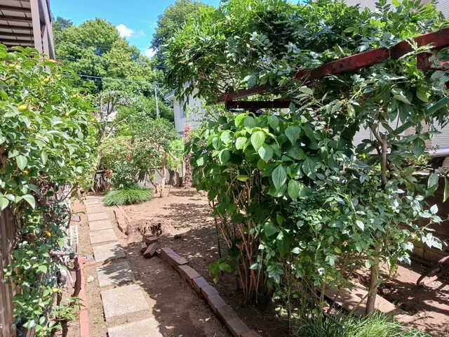 新年を綺麗なお庭で迎えませんか？お庭のことなら庭　翔黒にお任せください。サービスの画像