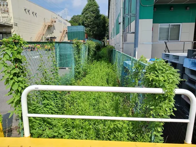 新年を綺麗なお庭で迎えませんか？お庭のことなら庭　翔黒にお任せください。サービスの画像