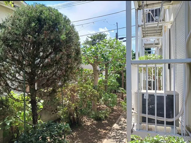 新年を綺麗なお庭で迎えませんか？お庭のことなら庭　翔黒にお任せください。サービスの画像