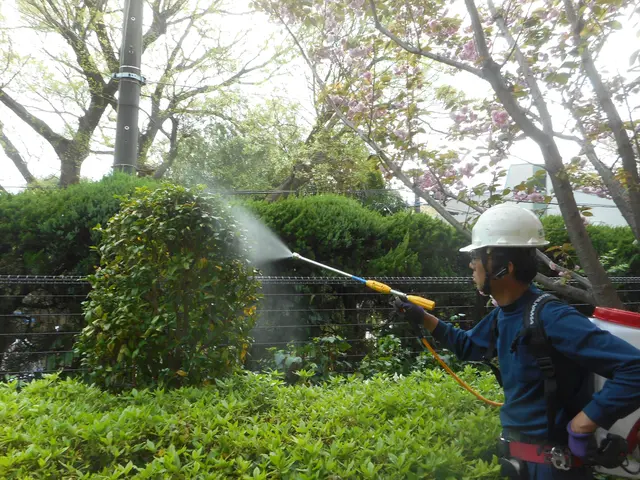 迅速対応で、顧客満足度100％を目指します！急な害虫発生、ご相談ください！サービスの画像