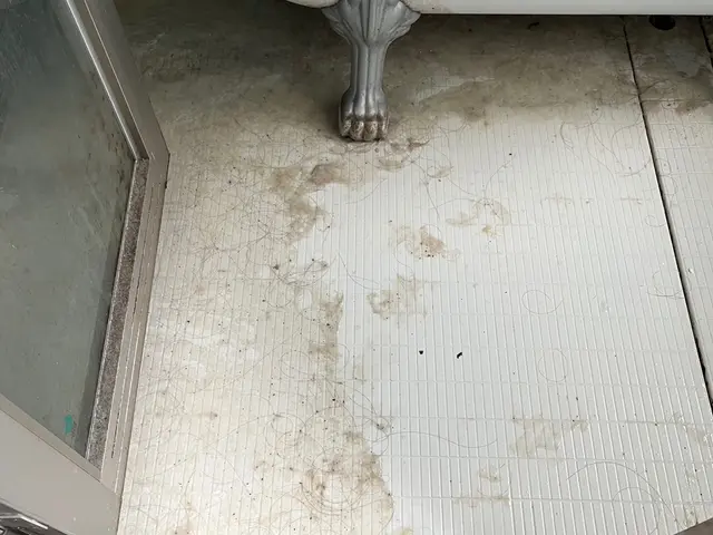 浴室・浴槽のおそうじサービスの画像