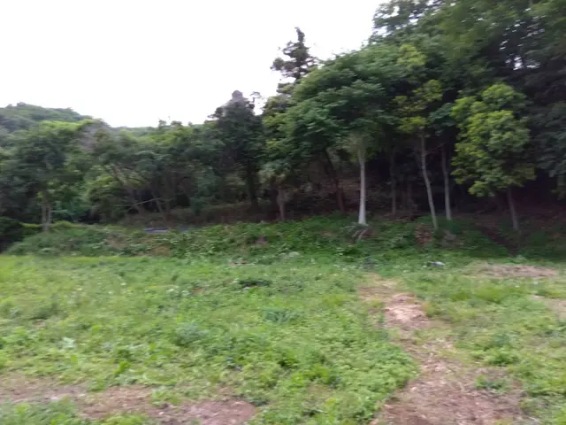 農家で里山保全活動をしている我々が、山や畑、空地などの困りごと解決に駆けつけますサービスの画像