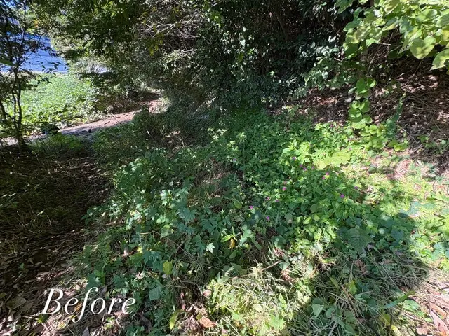 草刈り、除草サービスの画像