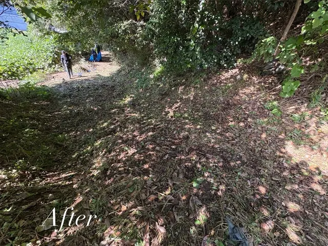 草刈り、除草サービスの画像