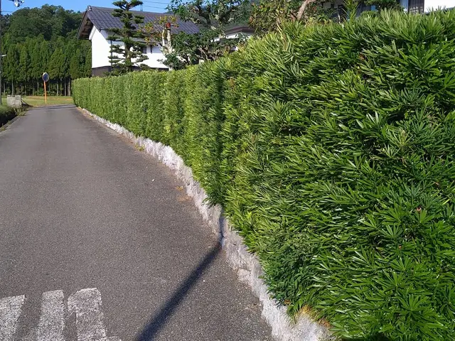 【時間外も相談可能◎】プロの技術で納得の仕上がりに！ご要望にお応えします。サービスの画像