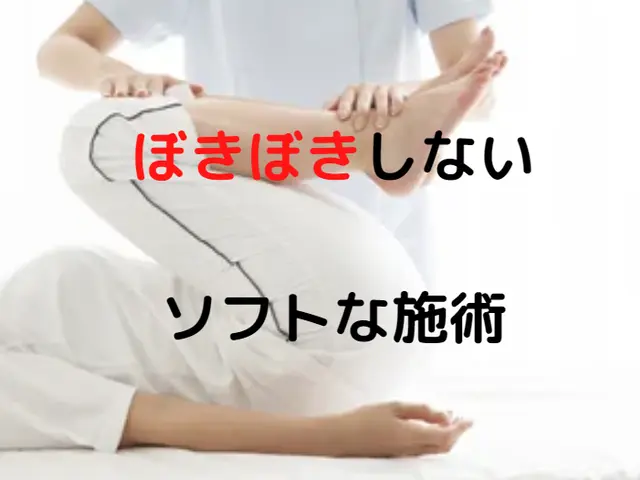 【時間内なら数名OK】腰痛改善が得意な整体師★腰椎ヘルニアによる痺れまで★サービスの画像