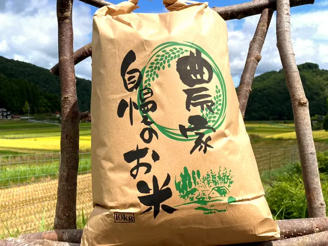プロの技術でご満足いただけるように心を込めて撮影いたします