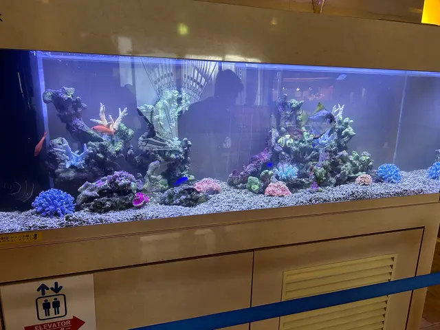 水槽メンテナンスサービスの画像