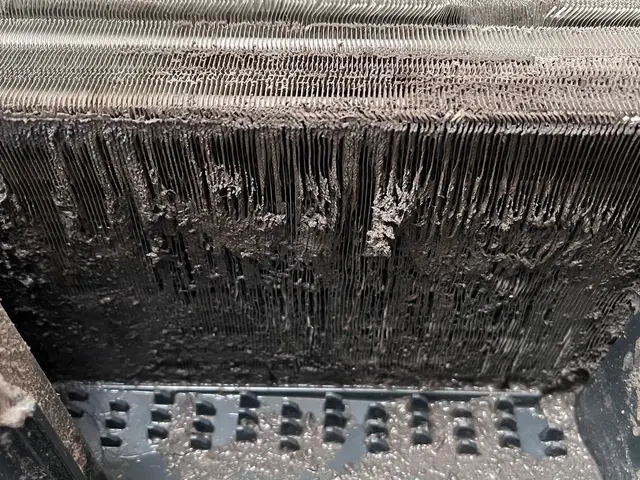 【年末特化価格】【受賞店舗の安心作業】サービスの画像