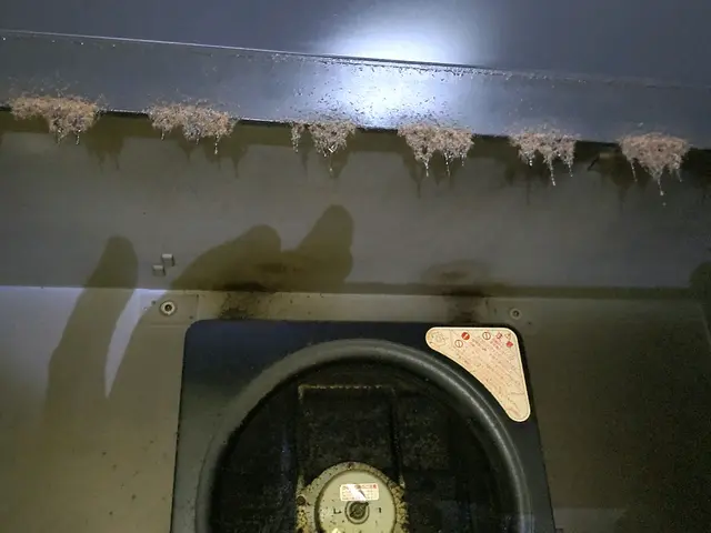 普通お掃除出来ないですよね?おまかせしていただけませんか?サービスの画像