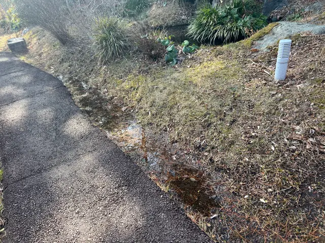 お値段だけで選んだら失敗します！サービスの画像