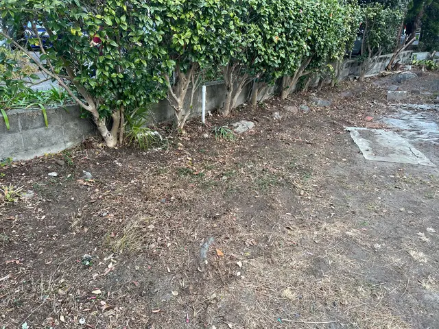 お値段だけで選んだら失敗します！サービスの画像