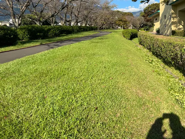 お値段だけで選んだら失敗します！サービスの画像