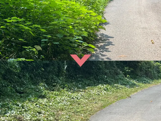 お値段だけで選んだら失敗します！サービスの画像