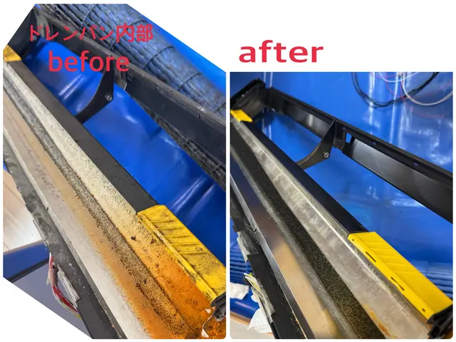 3.4月予約で限定価￥11000→￥5.000!!【実績7000件☆】サービスの画像