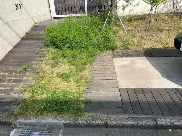 ご希望をお聞かせ下さい♪心を込めて丁寧に作業します！長年の経験で安心安全★サービスの画像