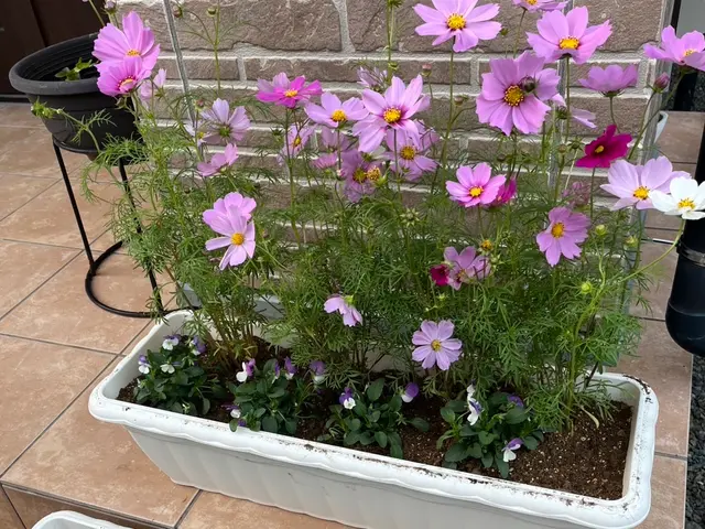 プロの技術でご満足いただけるように心を込めて作業いたしますサービスの画像