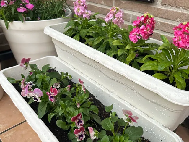 プロの技術でご満足いただけるように心を込めて作業いたしますサービスの画像