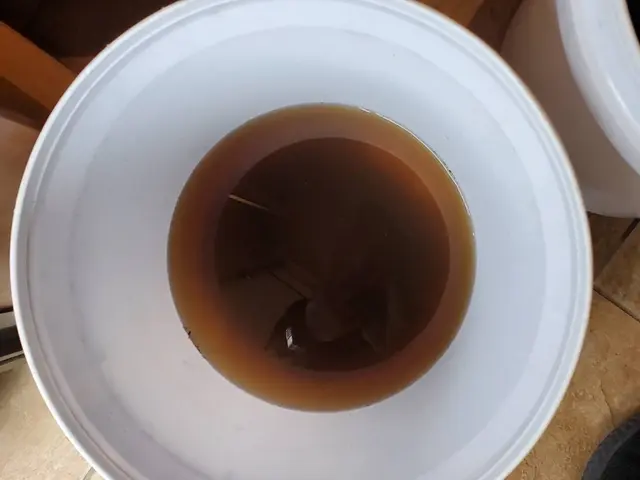 ◤店長訪問◎地域外◎お掃除機能付き可◎2度洗い☆◢サービスの画像