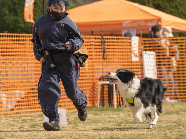【リングドッグからお留守番まで！】万全の研修体制◎損害保険加入済みで安心◎サービスの画像
