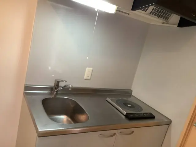 【キッチンの汚れは虫の温床】油汚れ水垢等のお悩みに★ピカピカなキッチンで快適に★サービスの画像