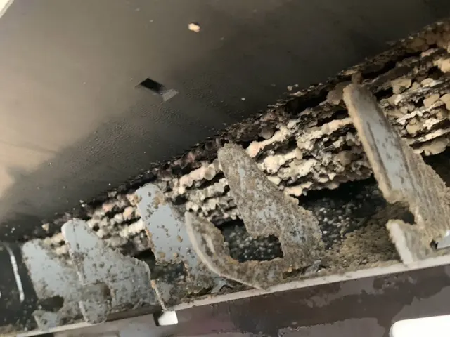 【秋のキャンペーン】10月迄！赤ちゃんやペットにも安心なエコ洗剤で洗浄いたしますサービスの画像