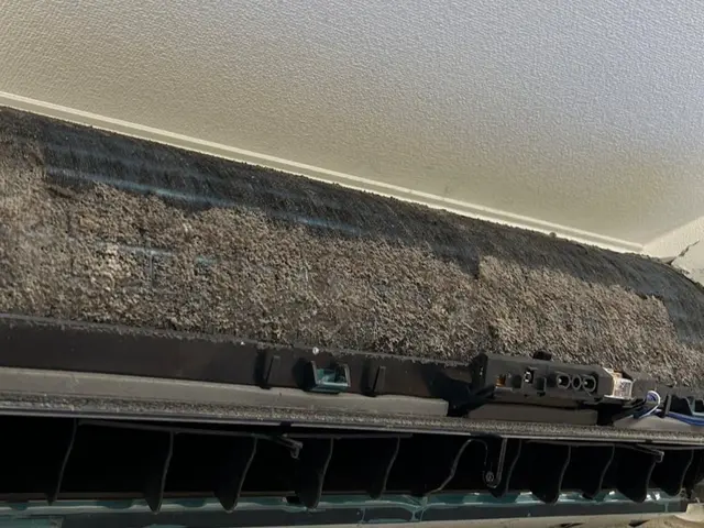 【秋のキャンペーン】10月迄！赤ちゃんやペットにも安心なエコ洗剤で洗浄いたしますサービスの画像