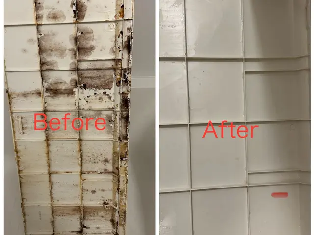 【業界歴10年、月30件の実績】子供4人のお父さんがお家を綺麗にします！サービスの画像