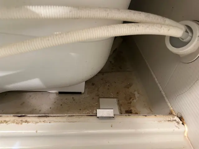 【業界歴10年、月30件の実績】子供4人のお父さんがお家を綺麗にします！サービスの画像