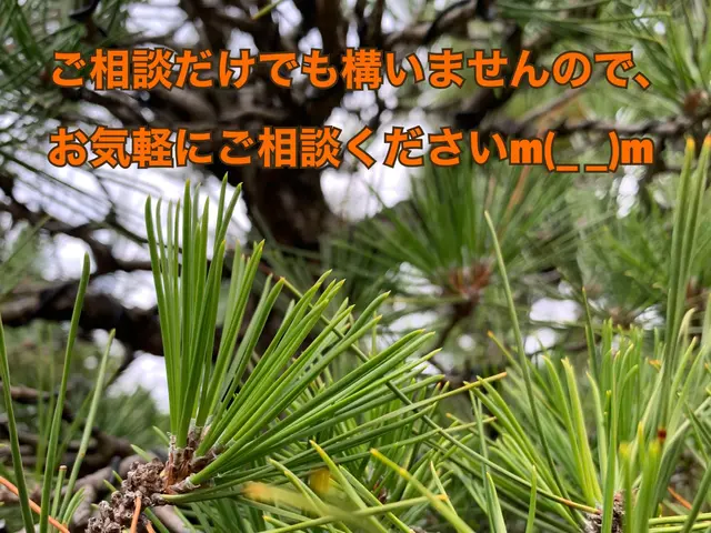 《業歴28年》職人親子でお伺い！スピーディーで丁寧な作業！※PayPay払い可能サービスの画像