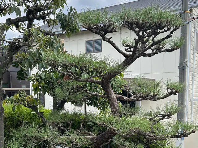 【女性スタッフ同行可能】大手での作業経験あります◉サービスの画像