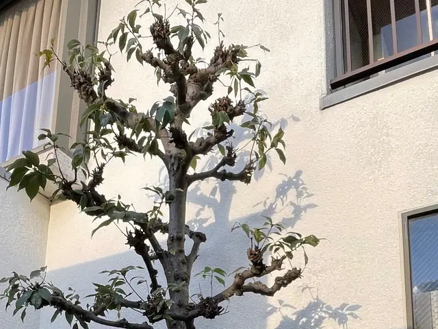 【女性スタッフ同行可能】大手での作業経験あります◉サービスの画像