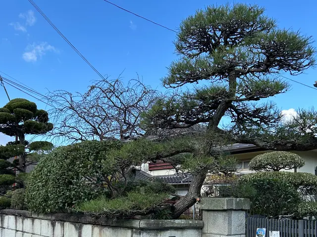 【女性スタッフ同行可能】大手での作業経験あります◉サービスの画像