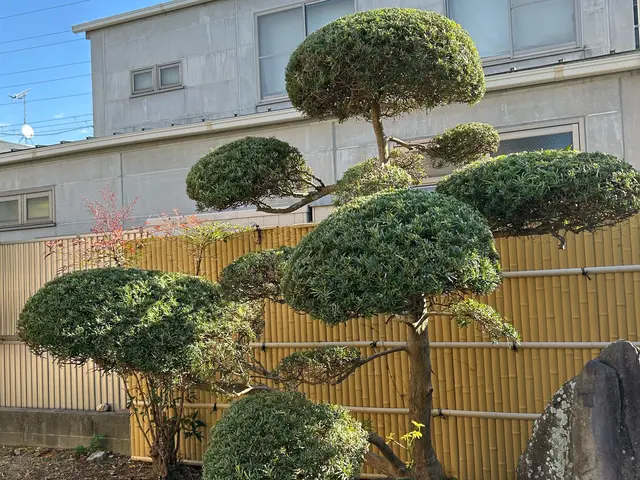 【女性スタッフ同行可能】大手での作業経験あります◉サービスの画像