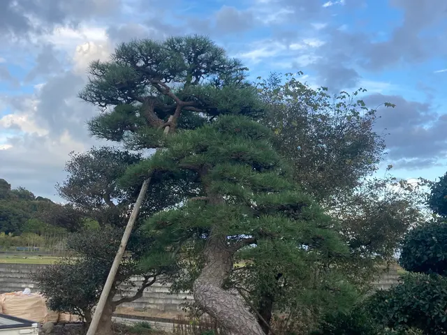 【業歴17年の経験と実績】対応地域外も対応OK！迅速丁寧に仕上げます！サービスの画像