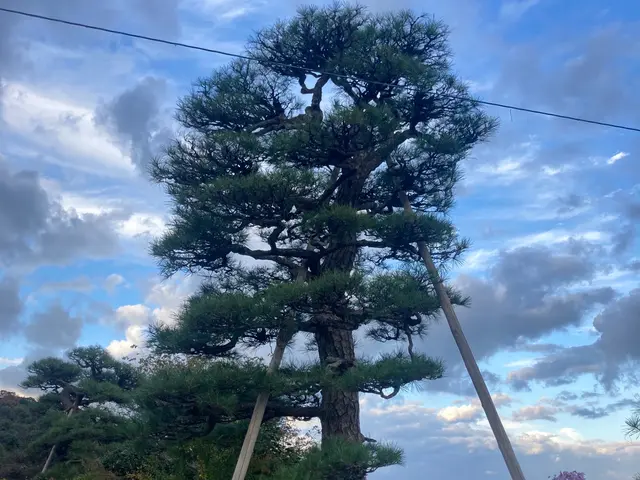 【業歴17年の経験と実績】対応地域外も対応OK！迅速丁寧に仕上げます！サービスの画像