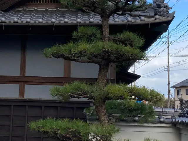 【業歴17年の経験と実績】対応地域外も対応OK！迅速丁寧に仕上げます！サービスの画像