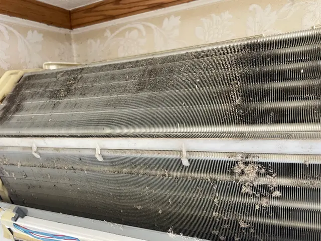 「今がチャンス！夏本番前に徹底クリーニング！」サービスの画像